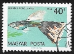 Stamps Hungary -  1497 - Pez