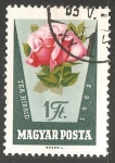 Stamps Hungary -  1520 - Rosa