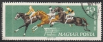 Stamps Hungary -  1460 - Deporte hípico