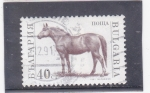 Stamps Bulgaria -  CABALLO