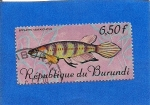 Stamps Burundi -  Pez