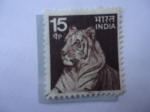 Stamps India -  Tigre (panthera tigris)- 15 paisa,In.
