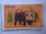 Sellos de Africa - Guinea -  República de Guinea - Hippopotame - Hipopotamo