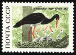 Stamps Russia -  BIELORRUSIA: Bosque de Belovezhskaya Pushcha / Bialowieza