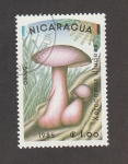 Stamps Nicaragua -  Xerocomus illudens