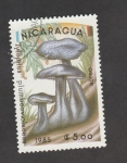 Stamps Nicaragua -  Tylopilus plumbeviolaceus
