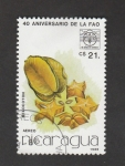 Sellos de America - Nicaragua -  40 aniv de la FAO. Mrlocotón