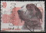 Stamps Spain -  Perros d´raza Españoles 