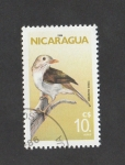 Sellos de America - Nicaragua -  Tordo ruiseñor