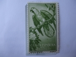 Stamps Spain -  Ed:ES-GN 367 - Loro Gris (Psittacus erithacus) - Guinea Español.