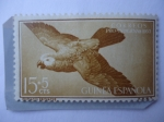 Stamps Spain -  Ed:Es-Gn 366 - Loro Gris (Psittacus erithacus) Guinea Española.