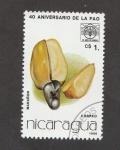 Stamps Nepal -  40 Aniv de la FAO.Marañón