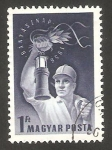 Stamps Hungary -  1201 - Día de los mineros
