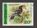 Stamps Liberia -  Ave  Bycanistes  cylindricus