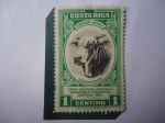 Stamps Costa Rica -  Ganadería - Feria Nacional Agrícola, Ganadera  e Industrial, Cartago 1950