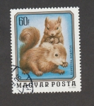 Stamps Hungary -  Cría animales salvajes, ardilla