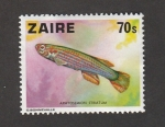 Stamps : Africa : Democratic_Republic_of_the_Congo :  Pez Sphyosemion