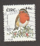 Stamps Ireland -  Petirrojo europeo