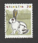 Stamps Switzerland -  Conejo