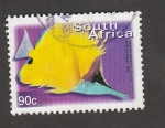 Sellos de Africa - Sud�frica -  Flor Forcipinger flavissimus