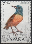 Stamps Spain -  Pajaros 