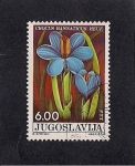 Stamps Yugoslavia -  Plantas