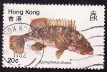 Stamps Asia - Hong Kong -  Mero de pintas rojas