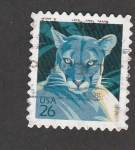 Stamps United States -  Puma