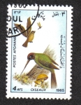 Sellos de Asia - Afganist�n -  Aves, Pájaro carpintero verde europeo (picus viridis)