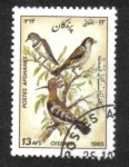 Sellos de Asia - Afganist�n -  Aves, Abubilla euroasiática (Upupa epops)