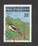 Stamps : Africa : Cameroon :  Golondrinas