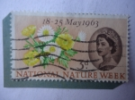 Stamps United Kingdom -  8-25 Mayo 1963 - National Nature Weer- Semana Nacional de la Naturaleza- Margarita.Abeja.