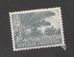 Sellos de Asia - Indonesia -  Kelapa sawi