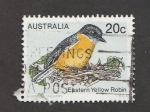 Sellos de Oceania - Australia -  Petirrojo amarillo del este