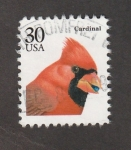 Stamps United States -  Ave Cardenal
