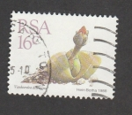Stamps South Africa -  Planta Vanheerdea divergens