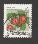 Stamps Malaysia -  Planta Nephelium lappaceum