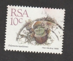 Stamps South Africa -  Didymaotus lapidiformis