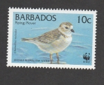 Stamps : America : Barbados :  Charadrius melodus