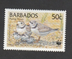 Stamps Barbados -  Charadrius melodus