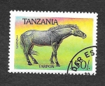 Sellos del Mundo : Africa : Tanzania : 1157 - Caballo