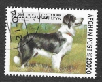 Stamps Afghanistan -  Mi1857 - Perro