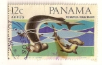 Stamps : America : Panama :  Correo Aereo. Pez martillo.