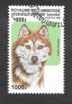 Stamps : Asia : Cambodia :  1737 - Perro