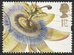 Stamps United Kingdom -  1933 - Flor