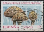 Stamps Spain -  Micologia 