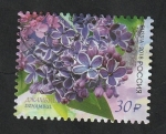 Stamps Russia -  Flores, dzhambul