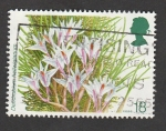 Stamps United Kingdom -  Dendrobium hellvigianum 