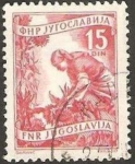 Stamps : Europe : Yugoslavia :  592 - un campesino