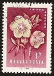 Stamps : Europe : Hungary :  Flores - Helleborus purpurasceus